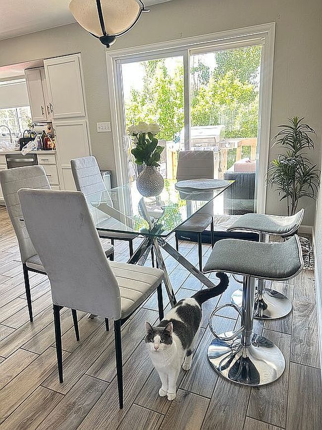 Additional photo 2 of property located at 169 W Cellini Dr