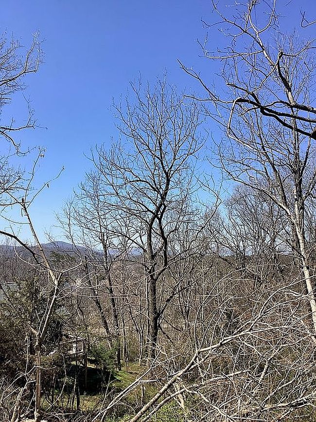 Image of 0 Asheville