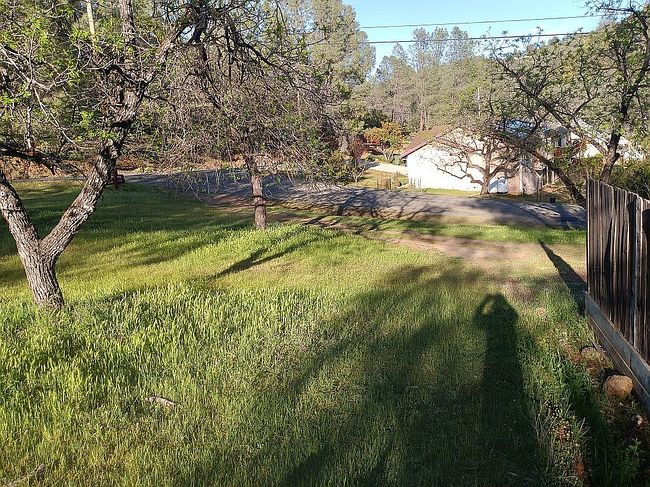 Image of 9815 Sequoia Rd