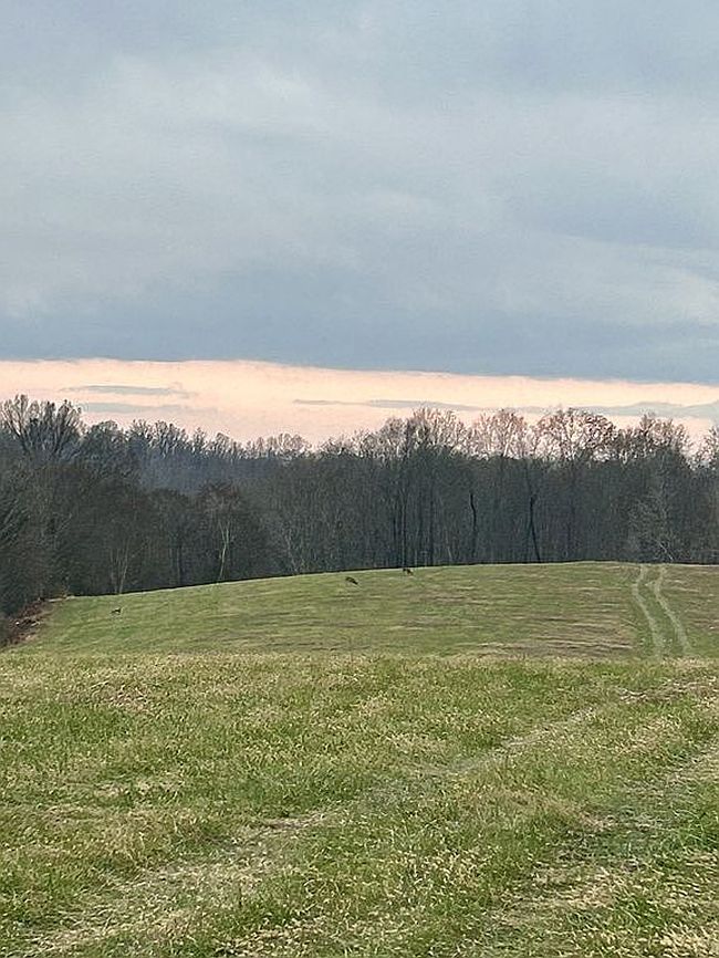 Image of 5 Rolling Meadow Ln