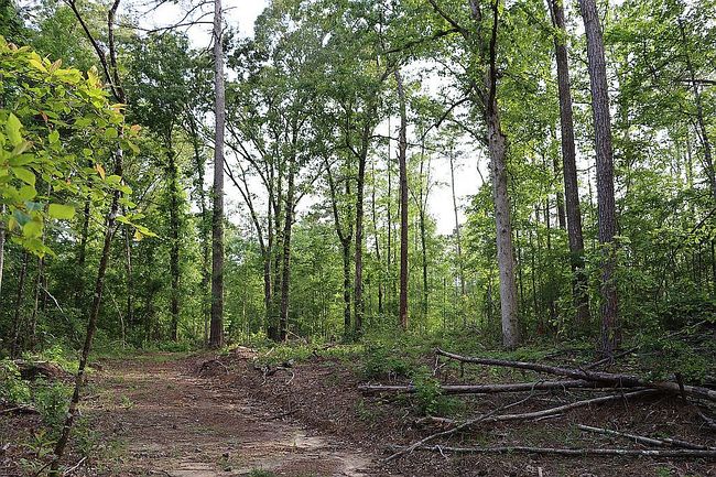 Image of 320 Fleming Rd