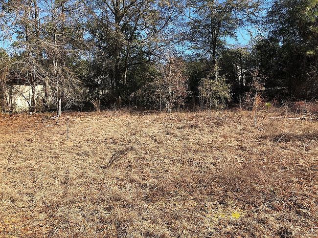 Photo of 2324 Tobacco Rd, Augusta, GA
