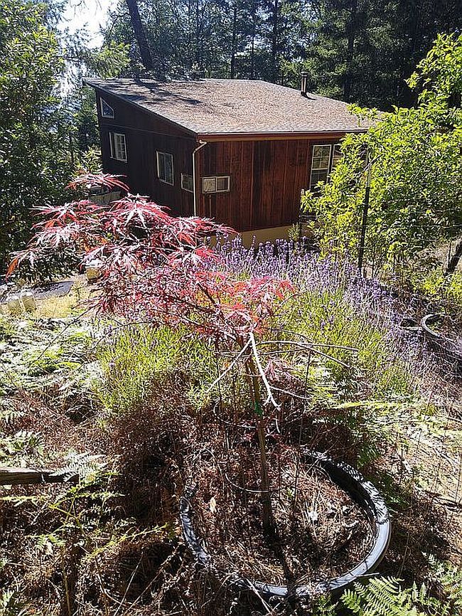 Image of 17251 Mid Mountain Rd