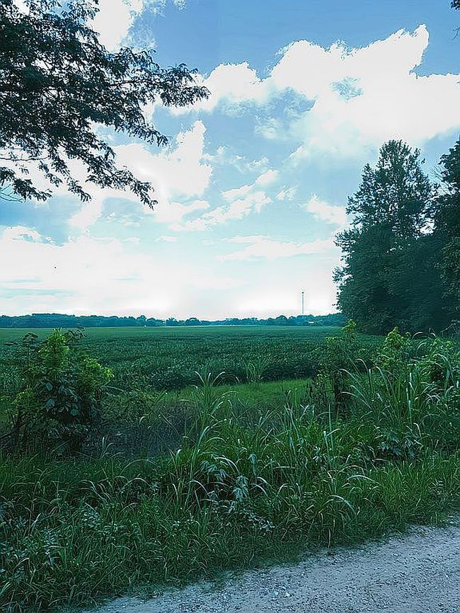 Photo of 22993 County Road 291, Puxico, MO