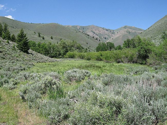 Photo of 300 Red Elephant Gulch Rd, Hailey, ID
