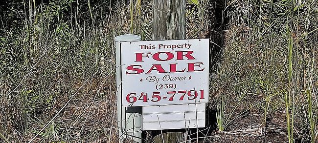 Image of 423 Mercedes Ct