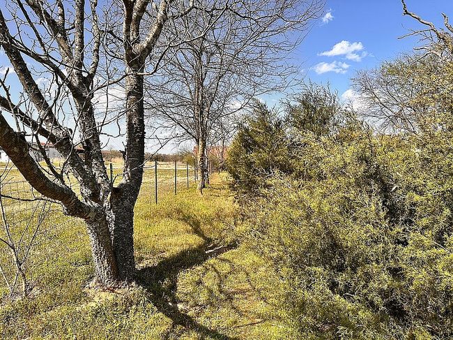 Image of 2134 County Road 2415