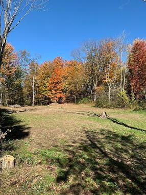 Image of 8632 Skinner Rd