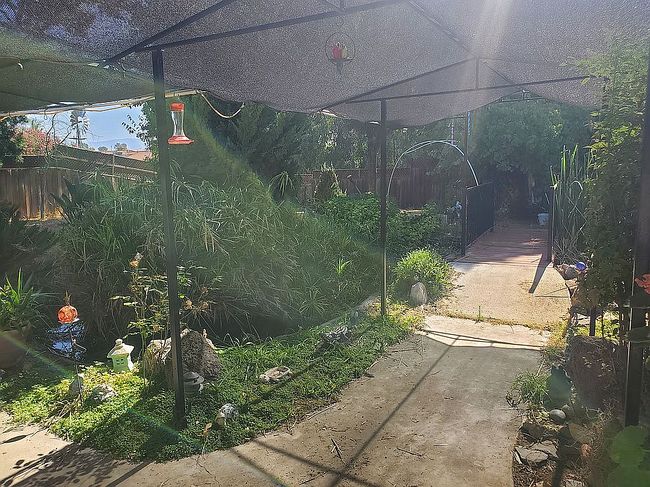 Photo of 8454 N Chamise Ave, Clovis, CA