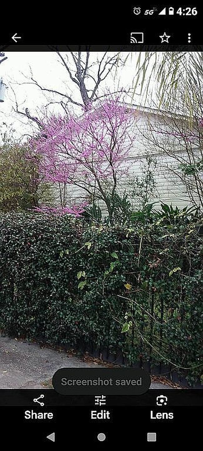 Additional photo 3 of property located at 1536 Half Heights Blvd