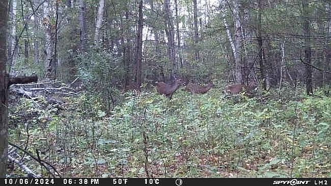 Photo of 1497 Conrad Rd, Standish, MI
