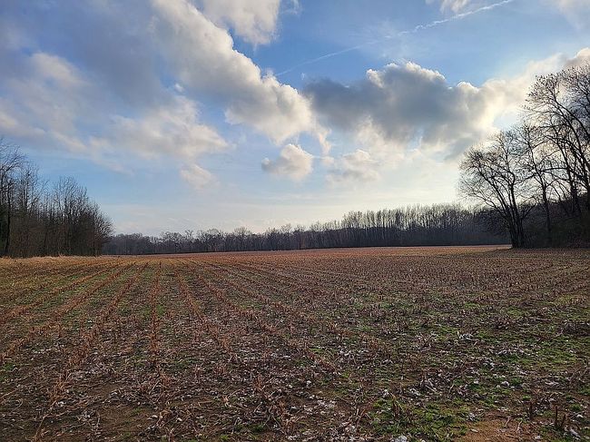 Additional photo 3 of property located at 0 County Road 153