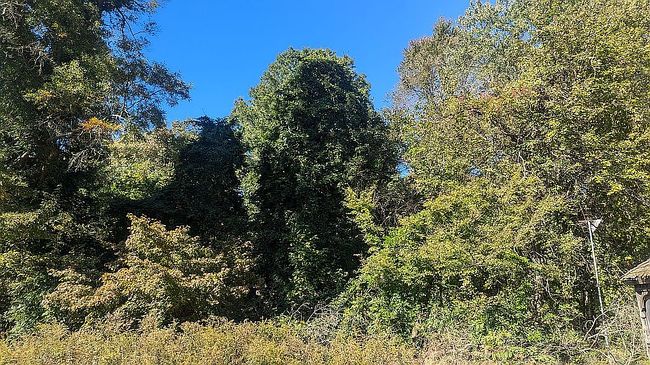Photo of 1154 Thompson Ave, Severn, MD