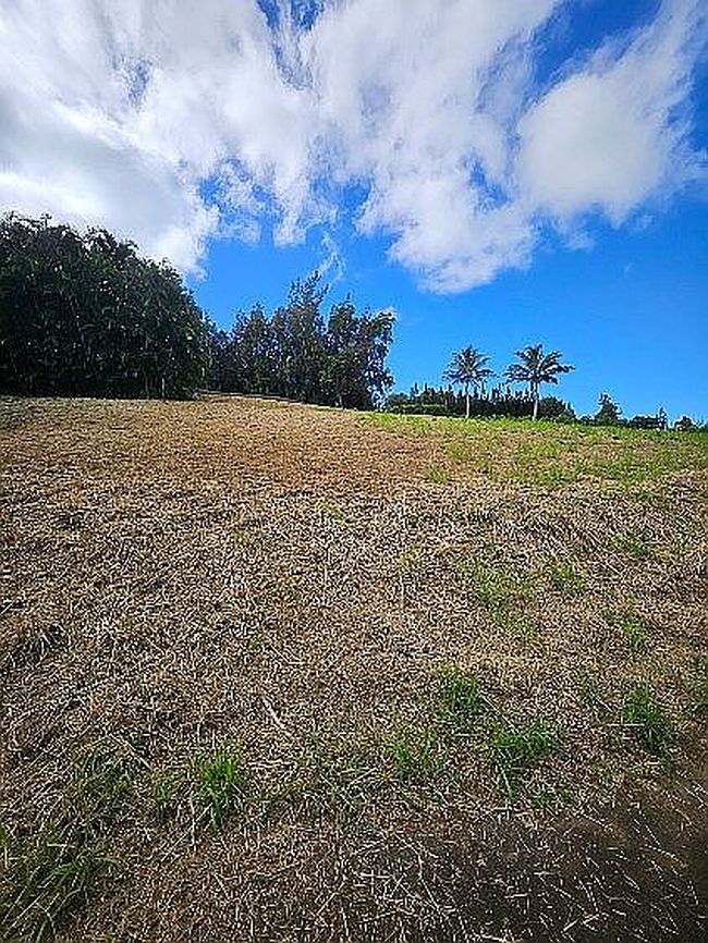 55-3326 Puu Mamo Dr, Hawi, HI