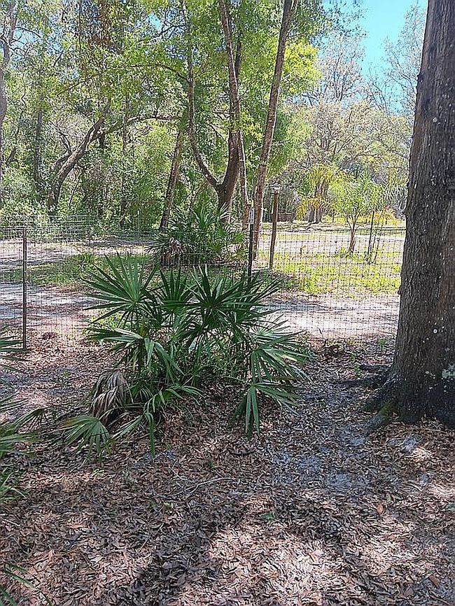 Photo of 35117 Cheshire St, Dade City, FL