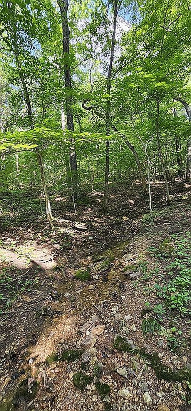 Photo of 10160 Fox Hvn, Blackwell, MO