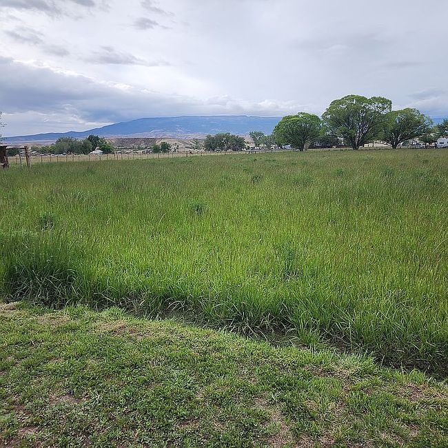 Image of 1696 H75 Rd