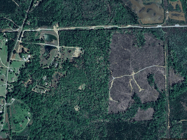 Photo of 163 Foxwood Rd