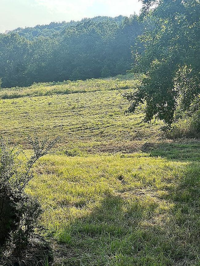Photo of 11807 Alderson Rd, Mulberry, AR