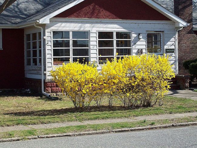 Photo of 44 N Farragut Ave, Manasquan, NJ
