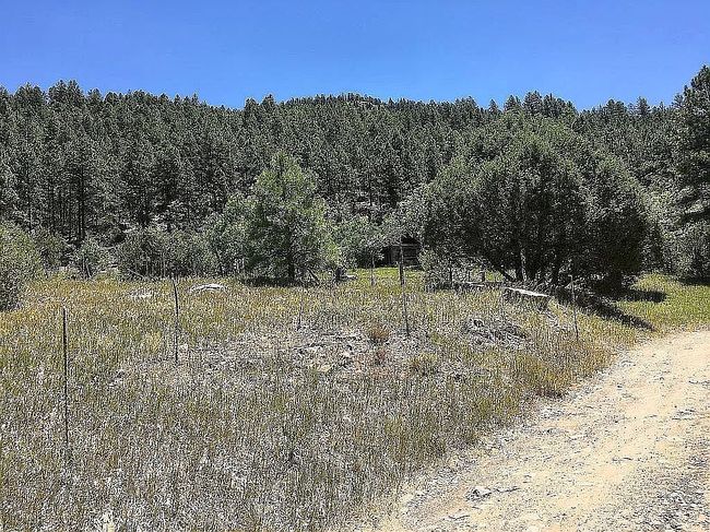 Image of El Macho Pecos Cyn N