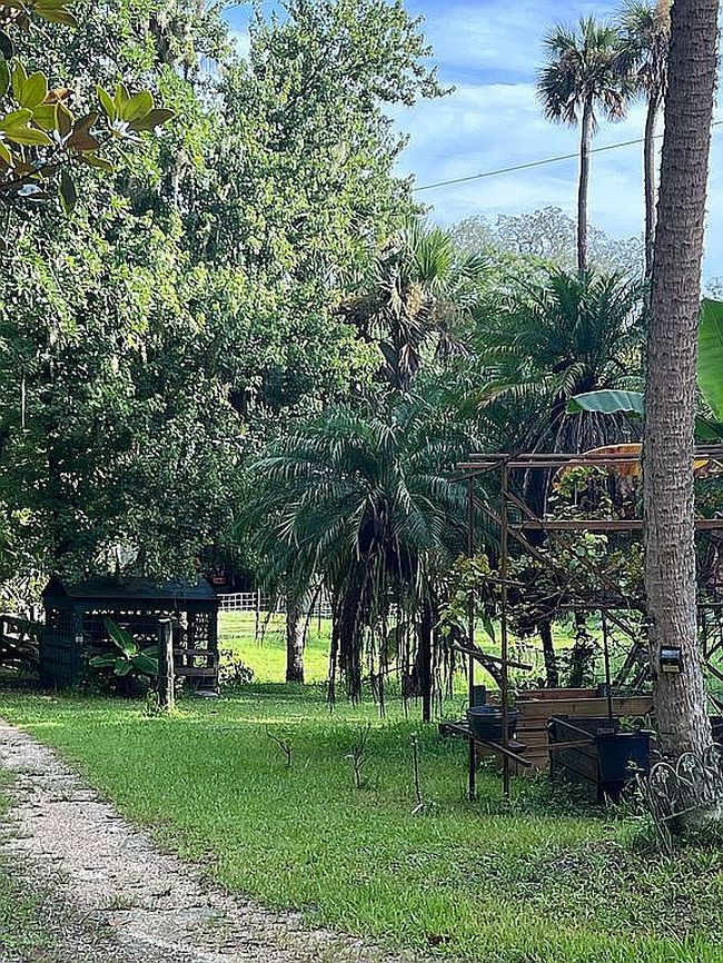 Photo of 259 S Janice Ln, Ormond Beach, FL
