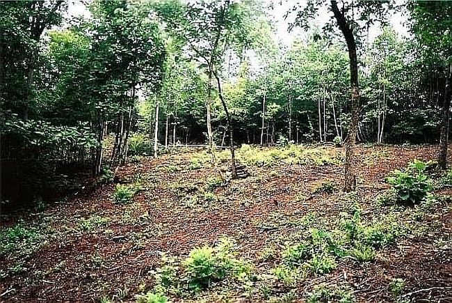 Photo of 60 Brushy Ln, Arley, AL