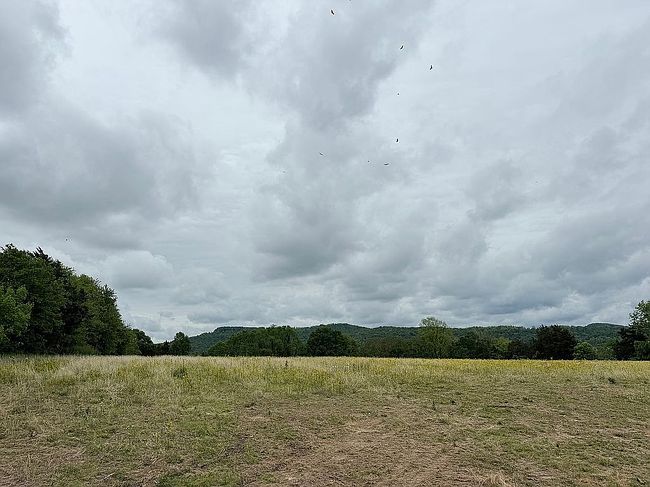 Image of 8485 W State Highway 90