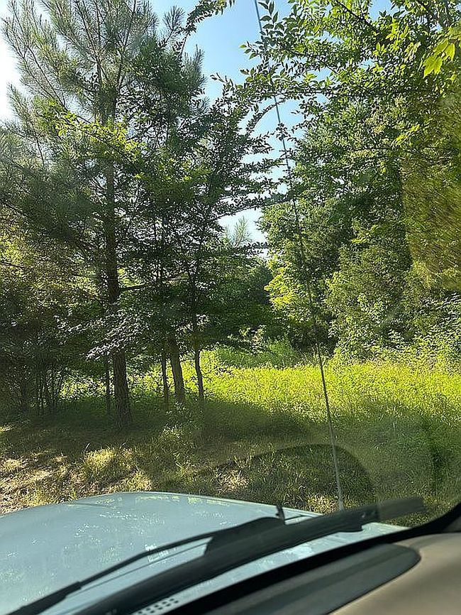 Image of 3121 Pillowville Gleason Rd