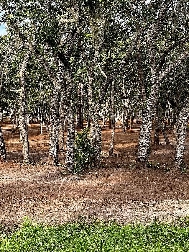 Photo of 6957 S Sonata Ave, Homosassa, FL