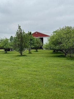 Preview of property located at 6390 E Loy Rd