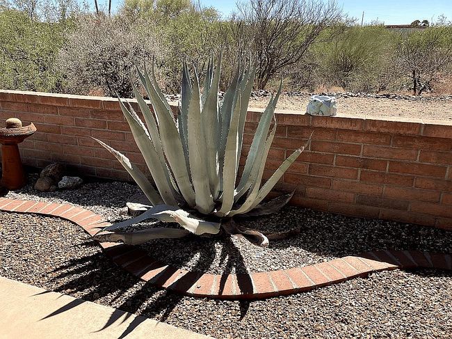 Image of 3631 S Via De La Ciguena