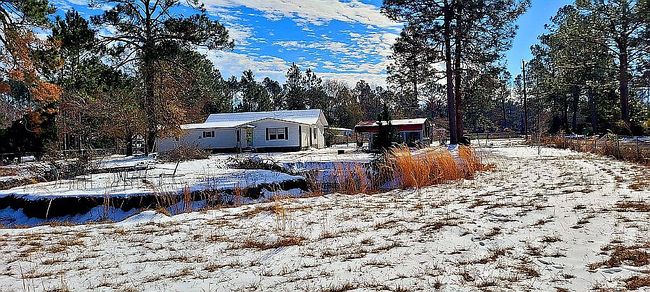 Photo of 52 Edward Kirkland Rd, Hazlehurst, GA