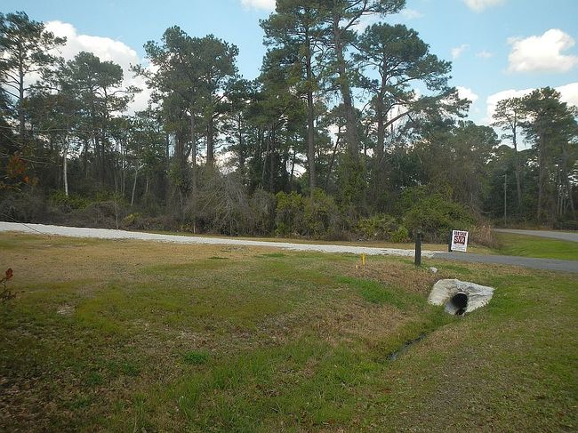 Image of 161 Saint Lucie St