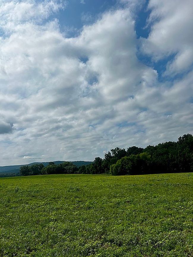 Photo of Oak Grove Rd, Decherd, TN