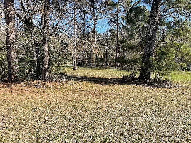 Image of 84 Hillsborough Dr