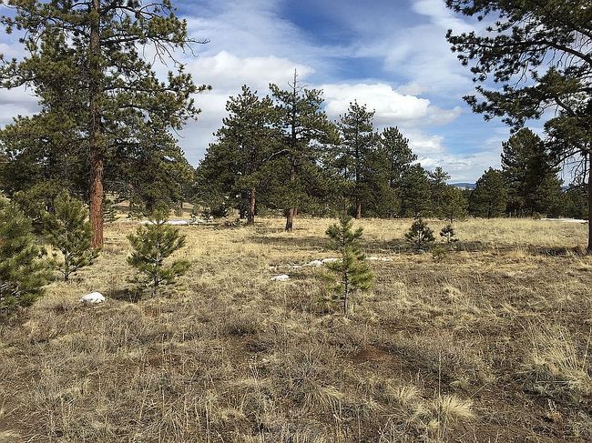 Photo of 823 Windmill Dr, Hartsel, CO
