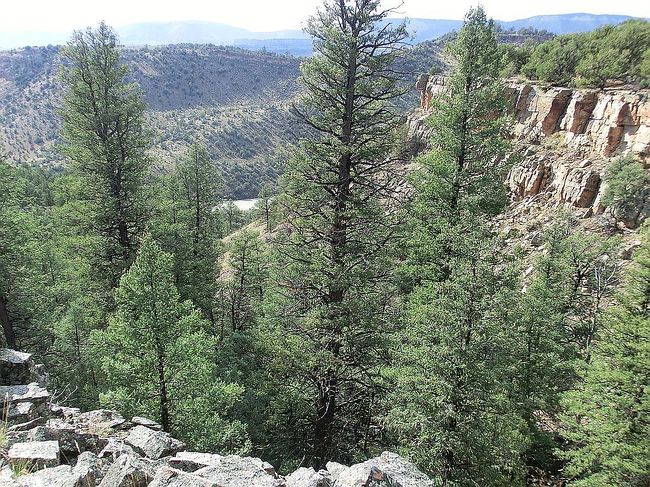 Photo of 791 County Road 303A, Tierra Amarilla, NM