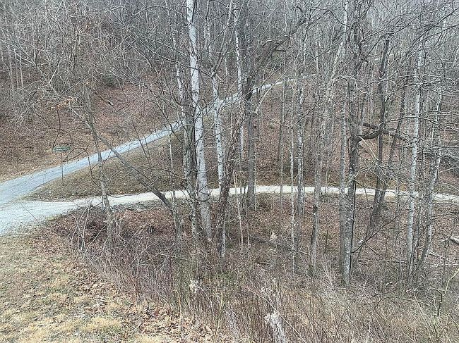 Image of 39 Blue Bird Ln