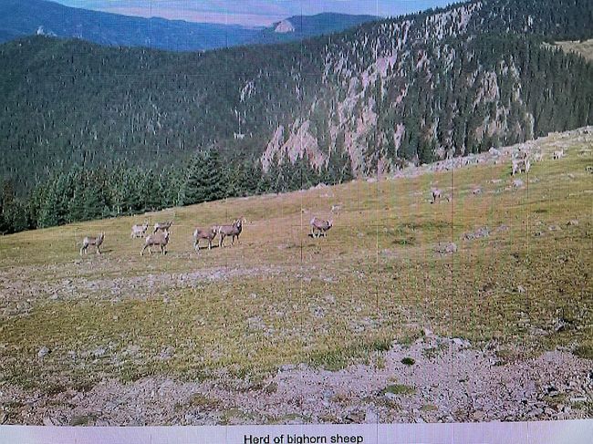Image of 0 El Macho Pecos Canyon Rnch