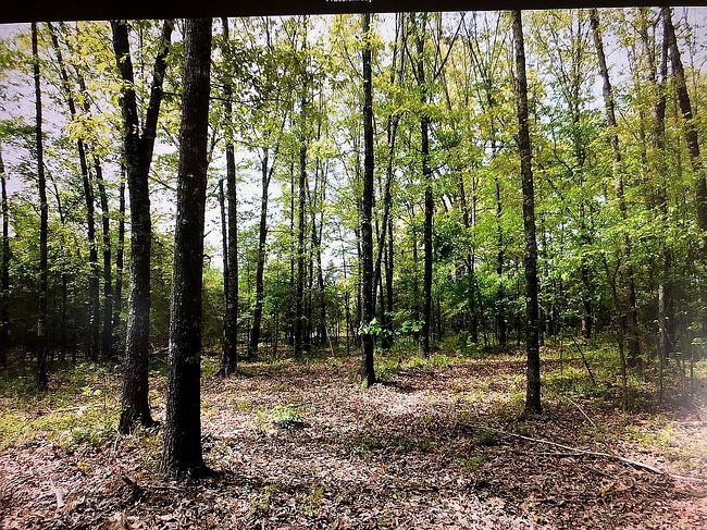 Photo of 473 Highway 63, Ravenden, AR