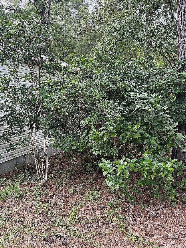 Photo of 158 Union Grove Church Rd, Wrightsville, GA