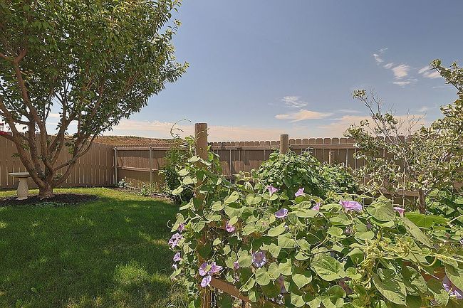Photo of 1450 Sw Greeley St, College Place, WA
