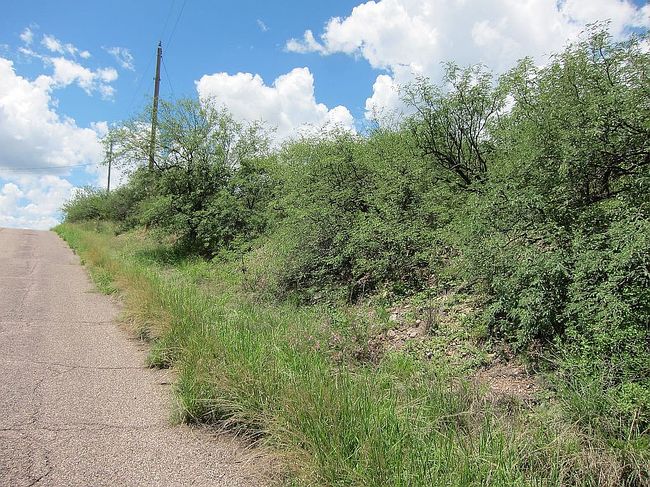Image of 502 Camino Hombre De Oro