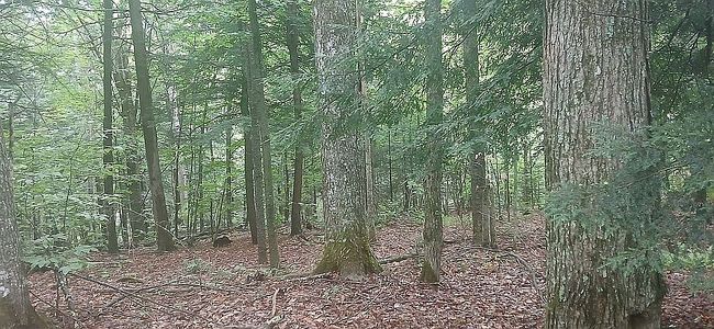 Photo of 3851-215 N Cabot Rd, Cabot, VT