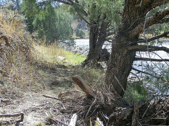Image of 791 County Road 303A