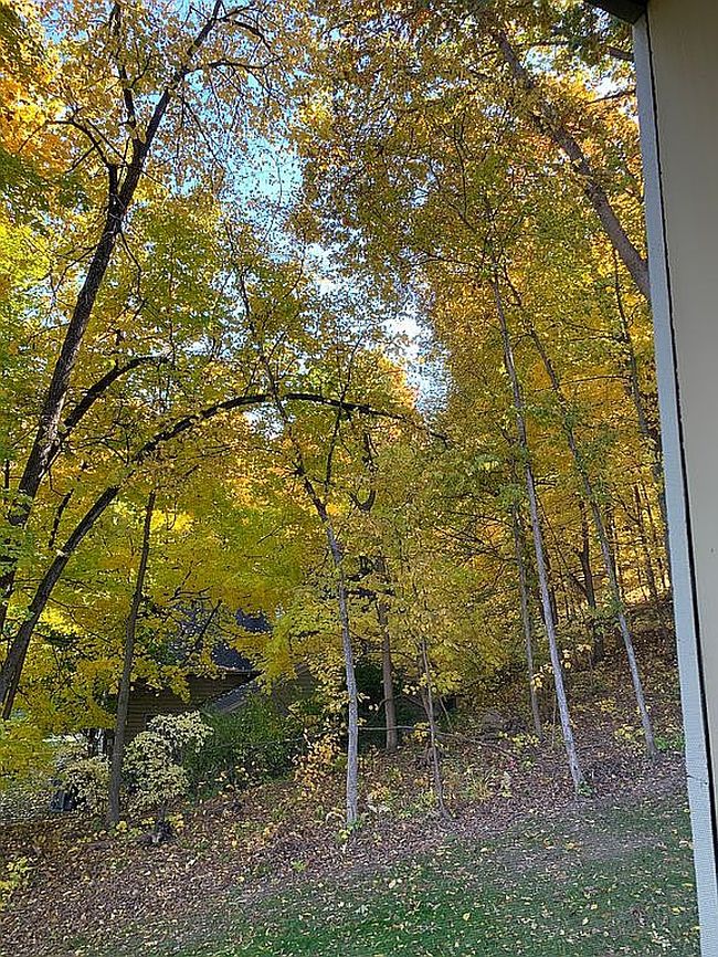 Image of 433 Territory Dr