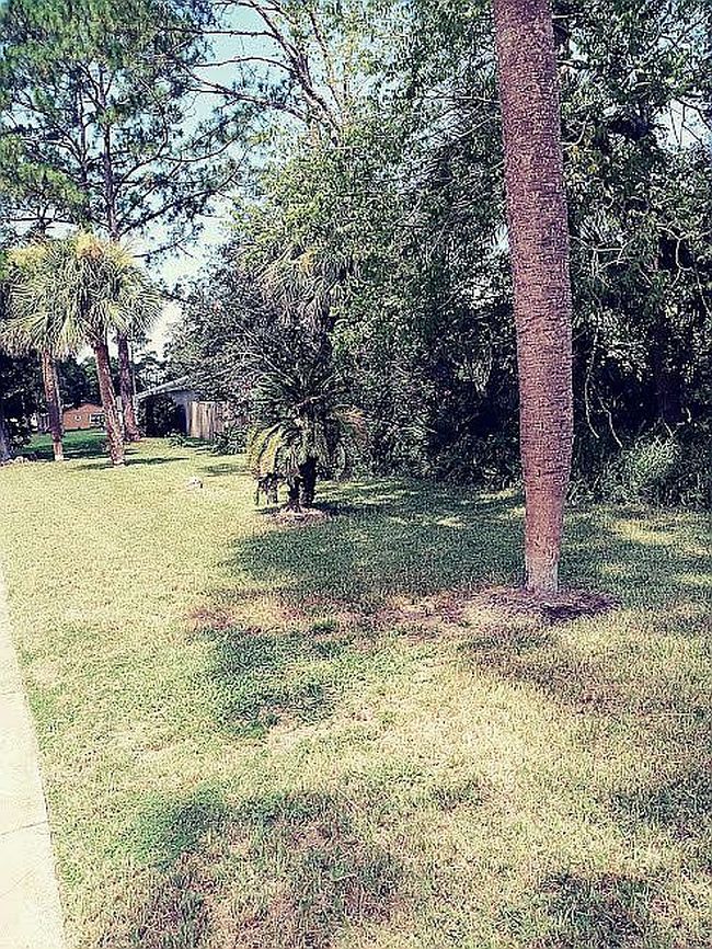 Photo of 1338 Ana Maria Cir, Port Orange, FL