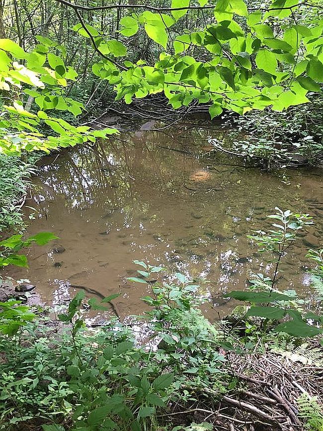 Image of 25112 County Route 189