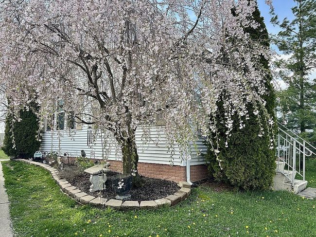 Image of 32987 Primrose Ct